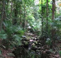 Mossman Gorge Rainforest Circuit Track Daintree National Park - Hotel VIC
