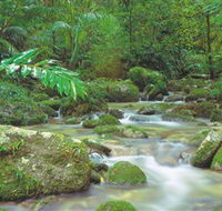 Mossman Gorge Daintree National Park - Hotel VIC