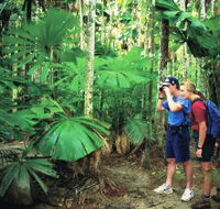 Mount Sorrow Ridge Trail Daintree National Park - Hotel VIC