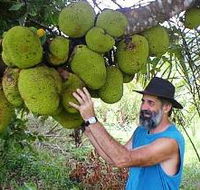 Cape Trib Exotic Fruit Farm - Hotel VIC