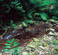 Wompoo Walk - Hotel VIC