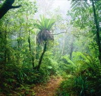Lamington National Park Green Mountains Section - Hotel VIC