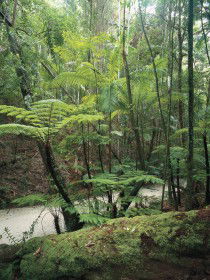 Fraser Island Great Walk - Hotel VIC 0