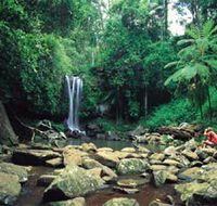 Tamborine National Park - Hotel VIC