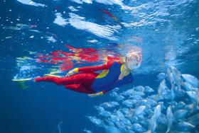 Outer Rocks Dive Site - Hotel VIC 0