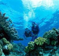 Coral Gardens Dive Site - Hotel VIC
