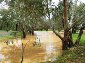 Saddliers Waterhole And Hamburg Creek - Hotel VIC 0