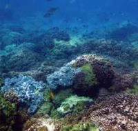 Hoffman's Rocks Dive Site - Hotel VIC