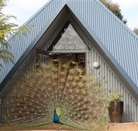 Halls Gap Zoo - Hotel VIC