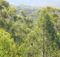 Bunyip State Park - Hotel VIC
