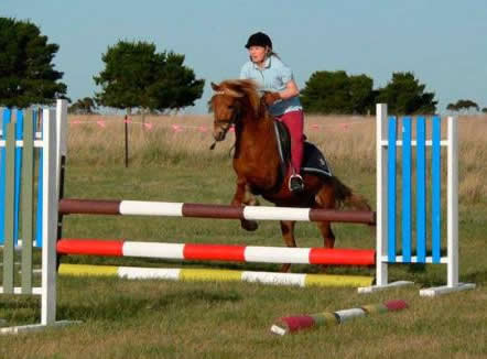 Saddle On Riding School - Hotel VIC 5