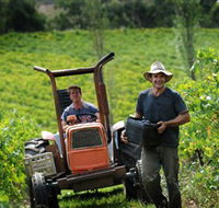 Kellybrook Winery  Kelly Brothers Cider - Hotel VIC