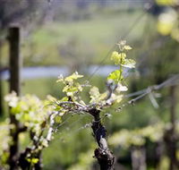 Coldstream Hills - Hotel VIC