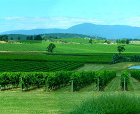 Acacia Ridge Vineyard - Hotel VIC 0