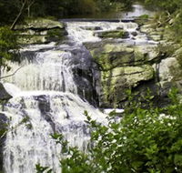 Agnes Falls Scenic Reserve - Hotel VIC