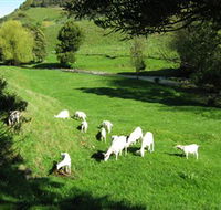Goats of Gaia Soap - Hotel VIC