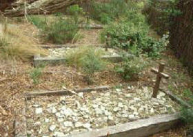 Collins Settlement Historic Site - Hotel VIC 0