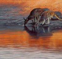 Steve Morvell Wildlife Art - Hotel VIC