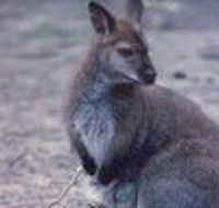 Churchill National Park - Hotel VIC
