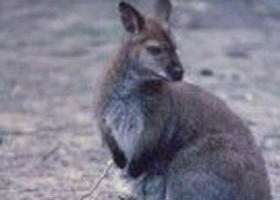 Churchill National Park - Hotel VIC 0