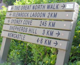 Great North Walk - Hotel VIC 0