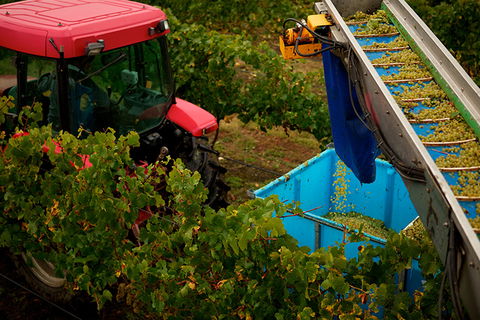 GREENSTONE VINEYARDS - Hotel VIC 3