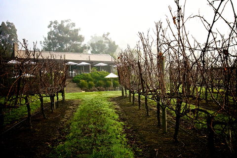 GREENSTONE VINEYARDS - Hotel VIC 4