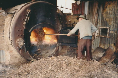 Eucalyptus Distillery Museum - Hotel VIC 2