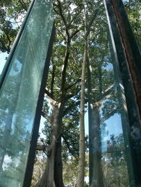 Sydney Sculpture Walk - Hotel VIC 0