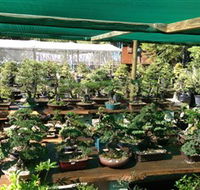 Bonsai at the Bay - Hotel VIC