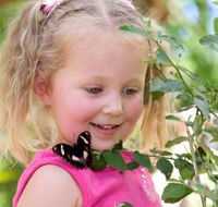 Coffs Harbour Butterfly House - Hotel VIC