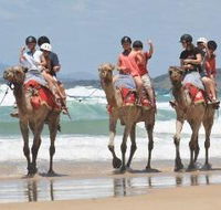 Camel Rides with Coffs Coast Camels - Hotel VIC