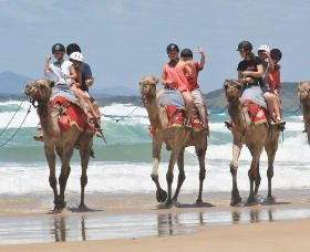 Camel Rides With Coffs Coast Camels - Hotel VIC 0