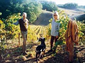 Mt Lofty Ranges Vineyard - Hotel VIC 0