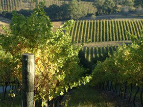 Pike And Joyce Wines - Hotel VIC 0