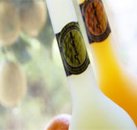 Ambra Limoncello - Hotel VIC