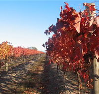 Kooyonga Creek Wines