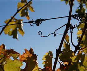 Blackjack Vineyards - Hotel VIC 1