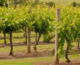 Mt Coghill Vineyard - Hotel VIC 0
