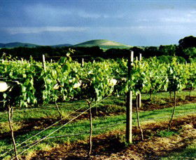 Mt Coghill Vineyard - Hotel VIC 1