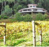 Peveril Vineyard/Beechy Berries - Hotel VIC