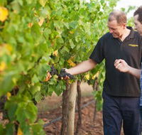 Fratin Brothers Vineyard - Hotel VIC
