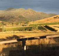 Optimiste Wines - Hotel VIC