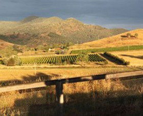Optimiste Wines - Hotel VIC 0