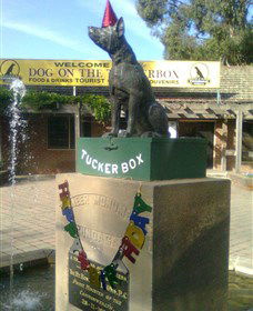 The Dog On The Tucker Box - Hotel VIC 1