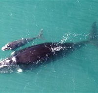 Fazshot Photography - Hotel VIC