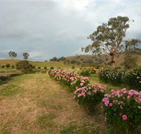 Damasque Rose Oil Farm - Hotel VIC