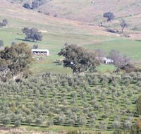 Wymah Organic Olives and Lambs - Hotel VIC