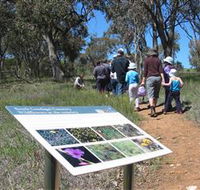 South Gundagai Woodlands Walk - Hotel VIC
