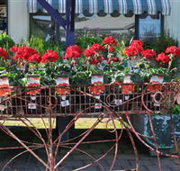 Van Loon's Nursery - Hotel VIC
